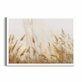 plakat-biala-ramka-przod-kloski-zlotej-trawy-na-polu.webp