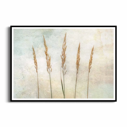 plakat-czarna-ramka-przod-zdzbla-trawy.webp