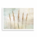 plakat-bez-ramki-przod-zdzbla-trawy.webp
