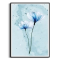 Plakat Niebieskie kwiaty III czarna ramka