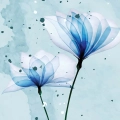 Plakat Niebieskie kwiaty III  decorlabs