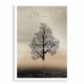 plakat-bez-ramki-przod-samotne-drzewo-II.webp