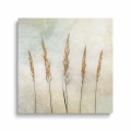 obraz-szklo-zdzbla-trawy-kwadrat.webp