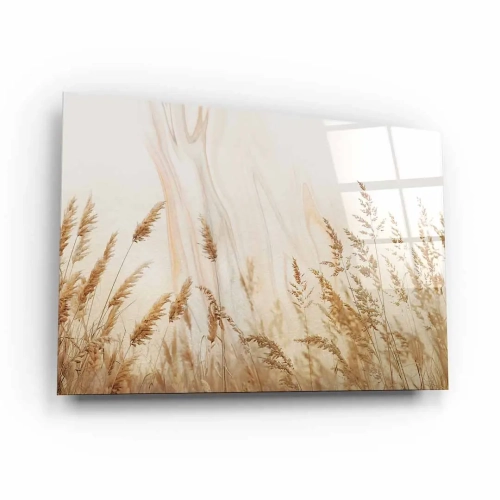 obraz-na-szkle-akrylowym-kloski-zlotej-trawy-na-polu-bok.webp