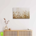 obraz-na-szkle-akrylowym-kloski-zlotej-trawy-na-polu-wnetrze.webp