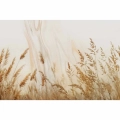 obraz-szklo-kloski-zlotej-trawy-na-polu-motyw.webp