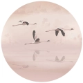 fototapeta-okragla-lot-flamingow-przod.webp