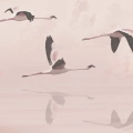 fototapeta-okragla-lot-flamingow-fragment.webp