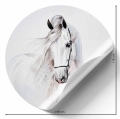 fototapeta-okragla-z-pieknym-bialym-koniem-naklejka.webp