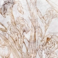 fototapeta-okragla-kwiaty-irysy-szkic-iris-sketch-fragment.webp