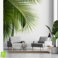 Fototapeta-Zielone-liście-palmowe-na-białym-tle.jpg