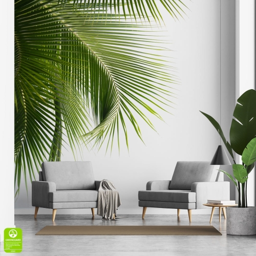 Fototapeta-Zielone-liście-palmowe-na-białym-tle.jpg