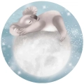 fototapeta-okragla-maly-mis-koala-spiacy-na-ksiezycu-przod.webp