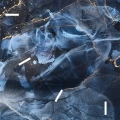 zegar-scienny-abstrakcyjne-fale-ze-zlotym-akcentem-kwadrat-kreski-fragment.webp