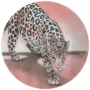 Fototapeta okrągła - Przyczajony lampart - Zwierzęta, Natura, Różowy, Drapieżnik