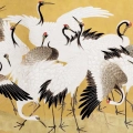 fototapeta-japonskie-stado-zurawi-fragment.webp