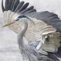 fototapeta-okragla-elegancka-czapla-fragment.webp