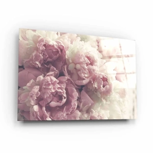 Obraz na szkle akrylowym - Piwonie kwiaty tło