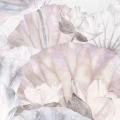 fototapeta-okragla-przetarte-liscie-lilii-w-jasnorozowych-odcieniach-fragment.webp