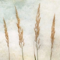 obraz-na-plotnie-zdzbla-trawy-fragment.webp