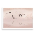 Plakat Lot flamingów bez ramki
