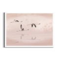 Plakat Lot flamingów biała ramka