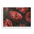 Plakat Duże czerwone kwiaty bez ramki