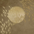 fototapeta-572-fragment — kopia.webp
