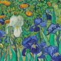 obraz-na-szkle-akrylowym-vincent-van-gogh-irysy-reprodukcja-fragment.webp