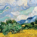 obraz-na-szkle-akrylowym-vincent-van-gogh-pole-pszenicy-z-cyprysami-fragment.webp