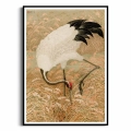 plakat-czarna-ramka-przod-zuraw-indyjski-w-polu-ryzowym.webp