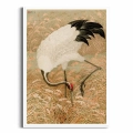 plakat-biala-ramka-przod-zuraw-indyjski-w-polu-ryzowym.webp