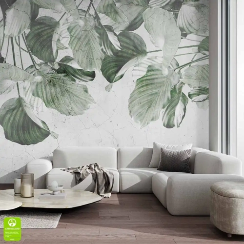 Nowoczesna fototapeta na wymiar z zielonymi liśćmi na spękanym tle – botaniczny wystrój ścienny do salonu