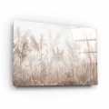 obraz-szklo-bezowa-trawa-pampasowa-bok.webp