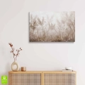 obraz-szklo-bezowa-trawa-pampasowa-wnetrze-poziom.webp