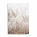 obraz-szklo-bezowa-trawa-pampasowa-przod-pion.webp