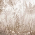 obraz-szklo-bezowa-trawa-pampasowa-fragment.webp