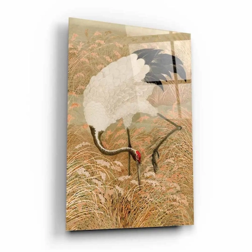 obraz-na-szkle-akrylowym-zuraw-indyjski-bok.webp