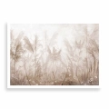 Plakat Beżowa trawa pampasowa na wietrze bez ramki