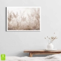 Plakat Beżowa trawa pampasowa na wietrze biała ramka w pokoju