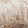 obraz-na-szkle-akrylowym-bezowa-trawa-pampasowa-fragment.webp