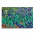 obraz-na-plotnie-vincent-van-gogh-irysy-przod.webp