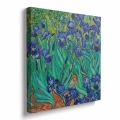 obraz-na-plotnie-vincent-van-gogh-irysy-kwadrat-bok.webp