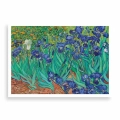 Plakat - Vincent van Gogh - Irysy - Reprodukcja bez ramki