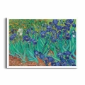 Plakat - Vincent van Gogh - Irysy - Reprodukcja biała ramka