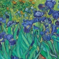 Plakat - Vincent van Gogh - Irysy - Reprodukcja