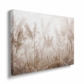 obraz-na-plotnie-bezowa-trawa-pampasowa-na-wietrze-bok.webp
