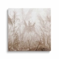 obraz-na-plotnie-bezowa-trawa-pampasowa-na-wietrze-kwadrat.webp