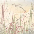 Fototapeta-okragla-delikatna-laka-fragment.webp