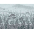 Fototapeta-Zamglone-drzewa-w-lesie-tropikalnym-Motyw.webp